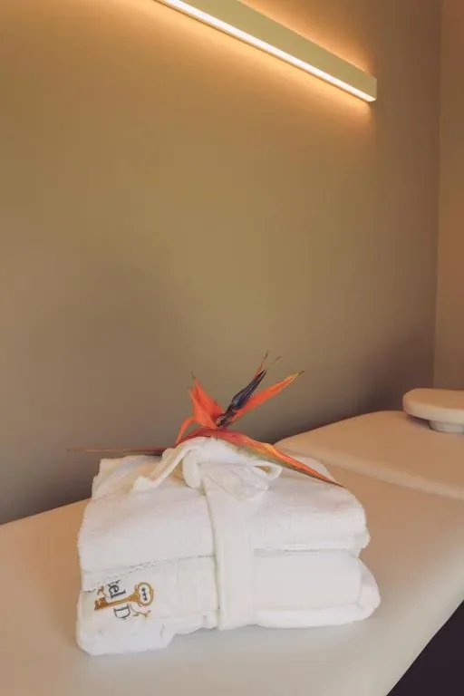 Hotel Diana Jardin et Spa — foto 3