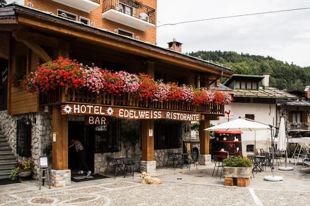 Hotel Edelweiss — foto 4