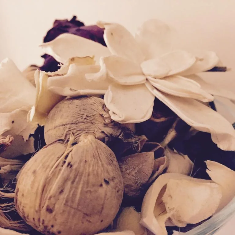 Hotel Fiorenza — foto 4