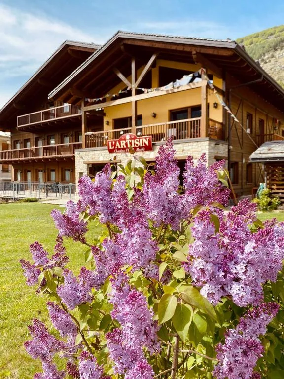 Hotel L’Artisin — foto 8