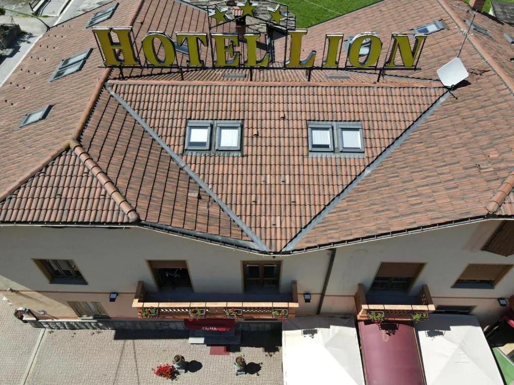 Hotel Lion — foto 8