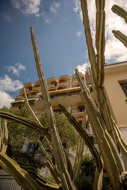 Hotel Mediterraneo — foto 4