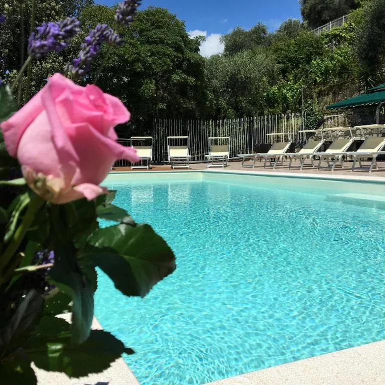 Hotel Mediterraneo — foto 5