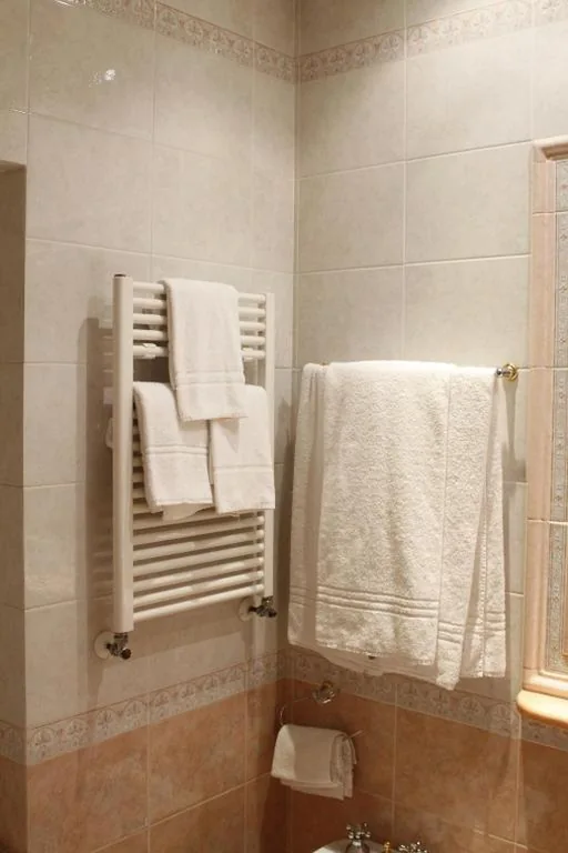 Hotel Pace Elvezia — foto 3