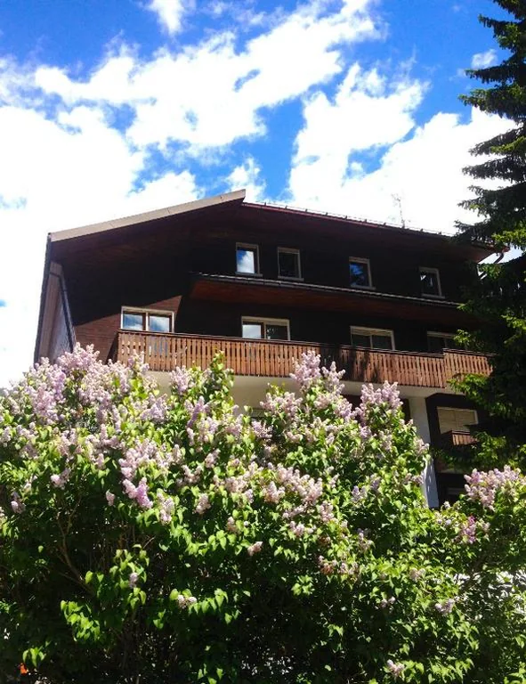 Hotel Rosa Serenella — foto 6