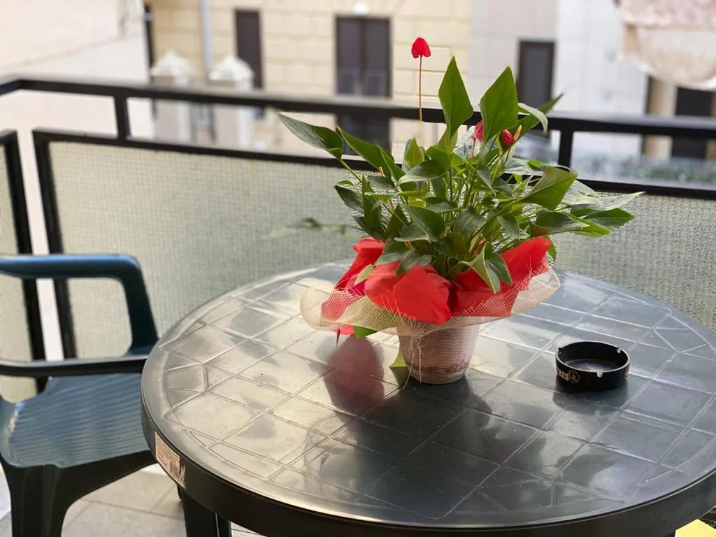 Hotel San Marco — foto 8