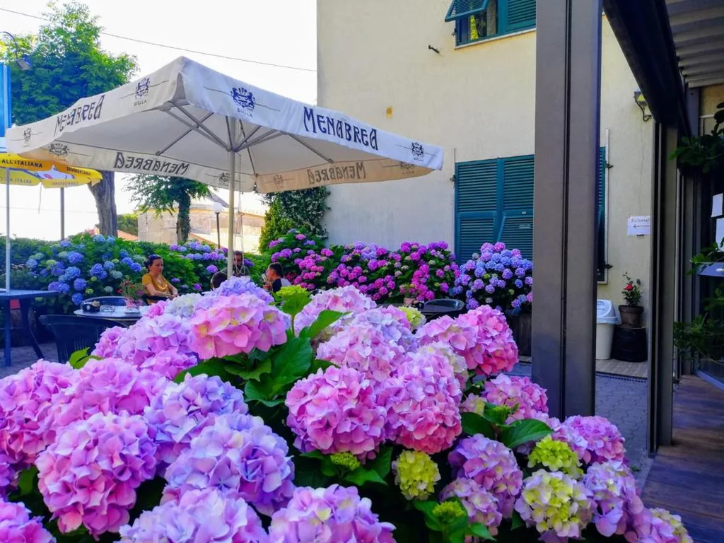 Hotel Silvia Framura – Cinque Terre