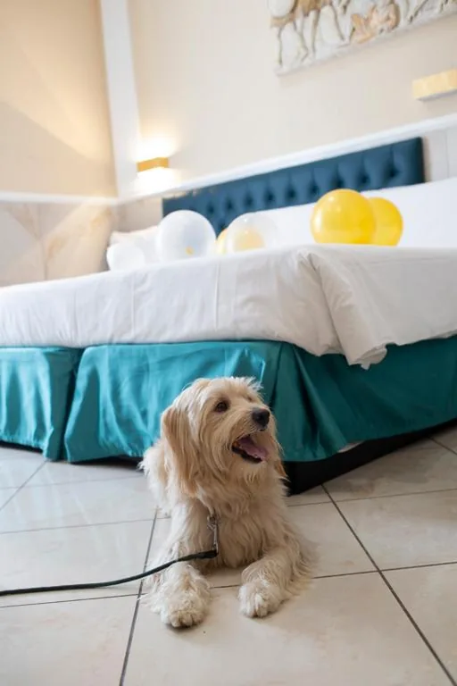 Hotel Suite Caesar — foto 4