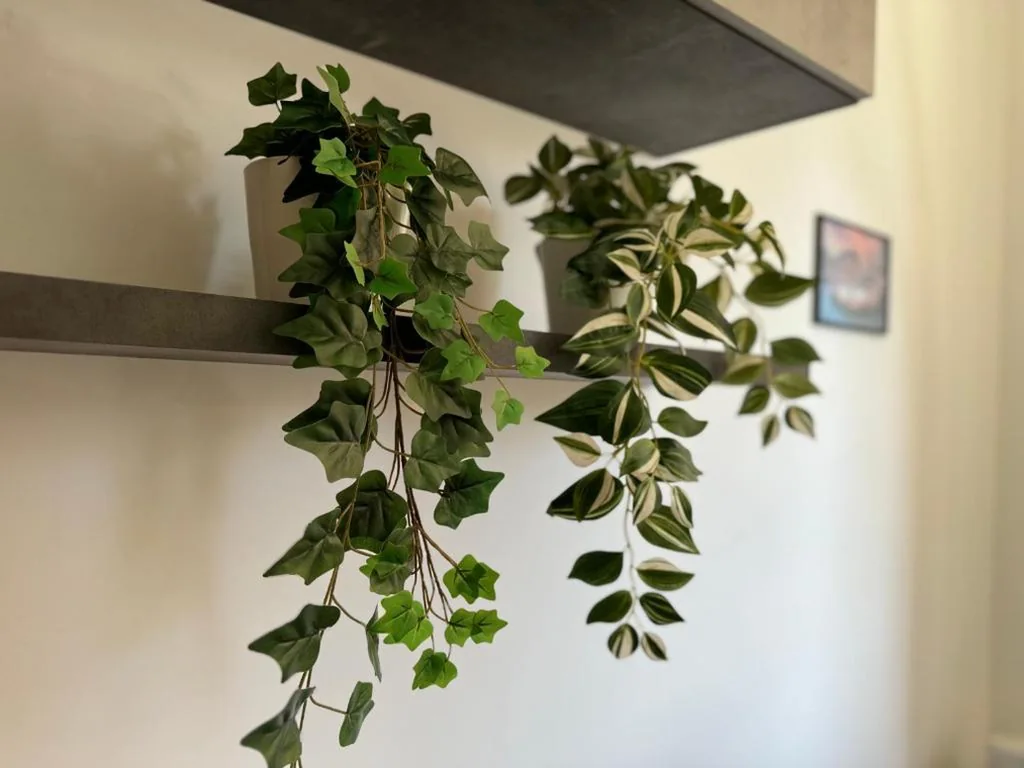 House Garden 44 – 15 minutes from Vatican Museums — foto 8
