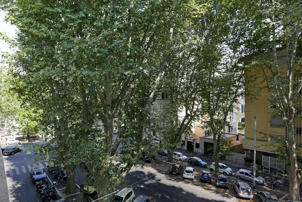 Houspitality Caesar Bed & Breakfast — foto 6