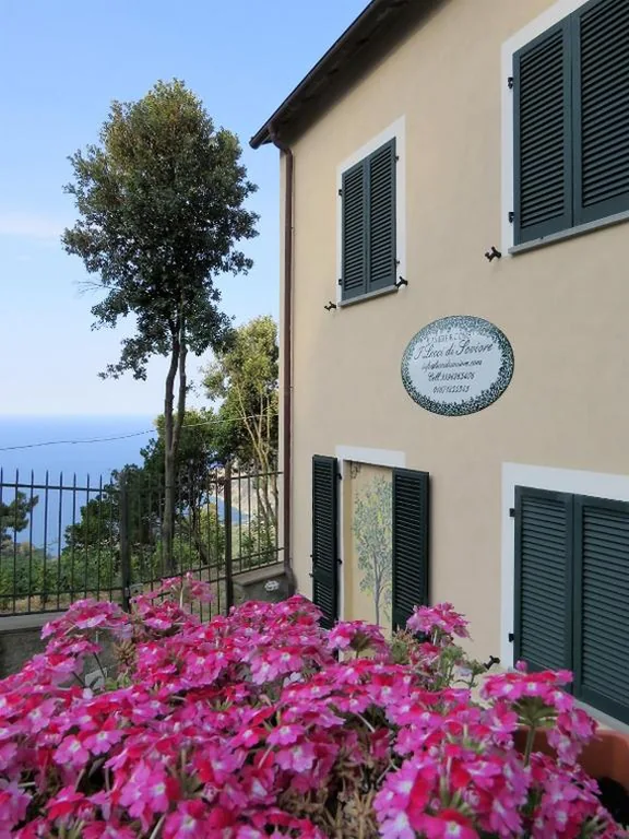 I Lecci Di Soviore — foto 6