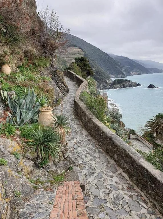 I Lecci Di Soviore — foto 7