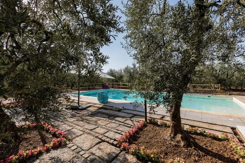 Il Finto Pepe di Alessia — foto 7