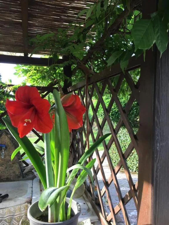 Il Ghiro B&B — foto 4