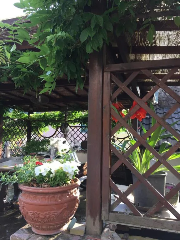 Il Ghiro B&B — foto 5