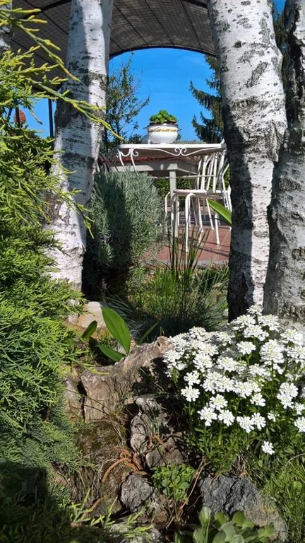 Il Girasole — foto 8