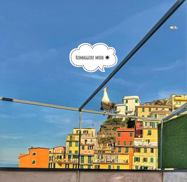 il Lunario — foto 7