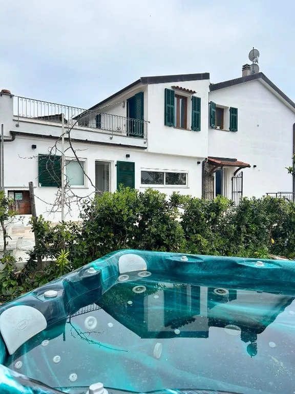 Il mare tra gli olivi — foto 4