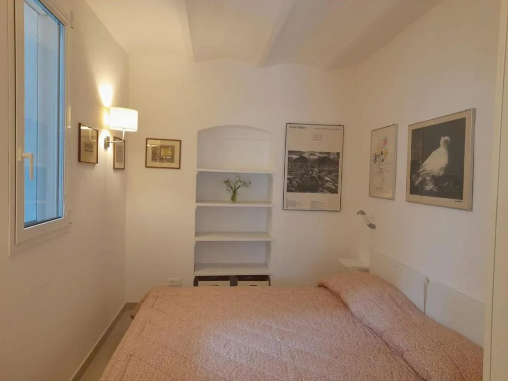 Il mare tra gli olivi — foto 7
