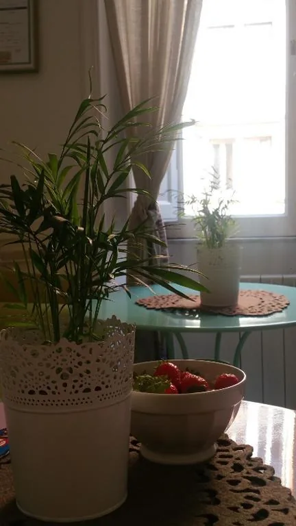 Il Mondo Di Amelia — foto 4