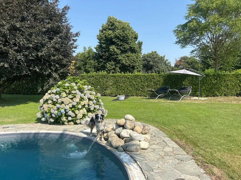 IL SALICE — foto 5