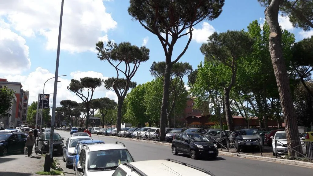 Il Sogno in Rome — foto 5