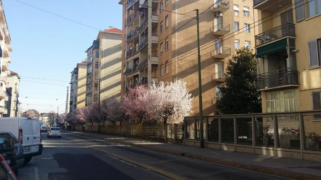 Il Sole e La Luna — foto 6