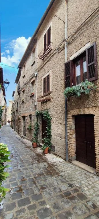 Il vicoletto — foto 6