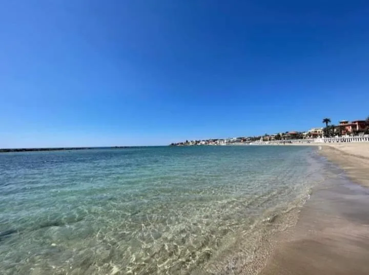 Il Vicoletto — foto 7