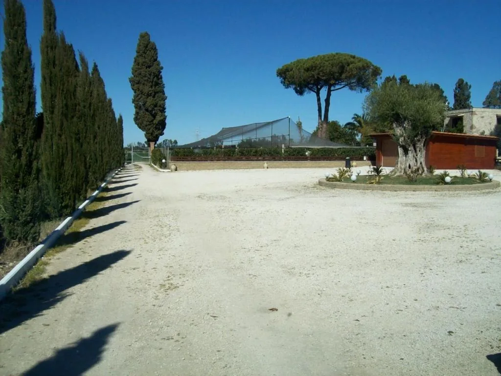 Il Vivaio — foto 8