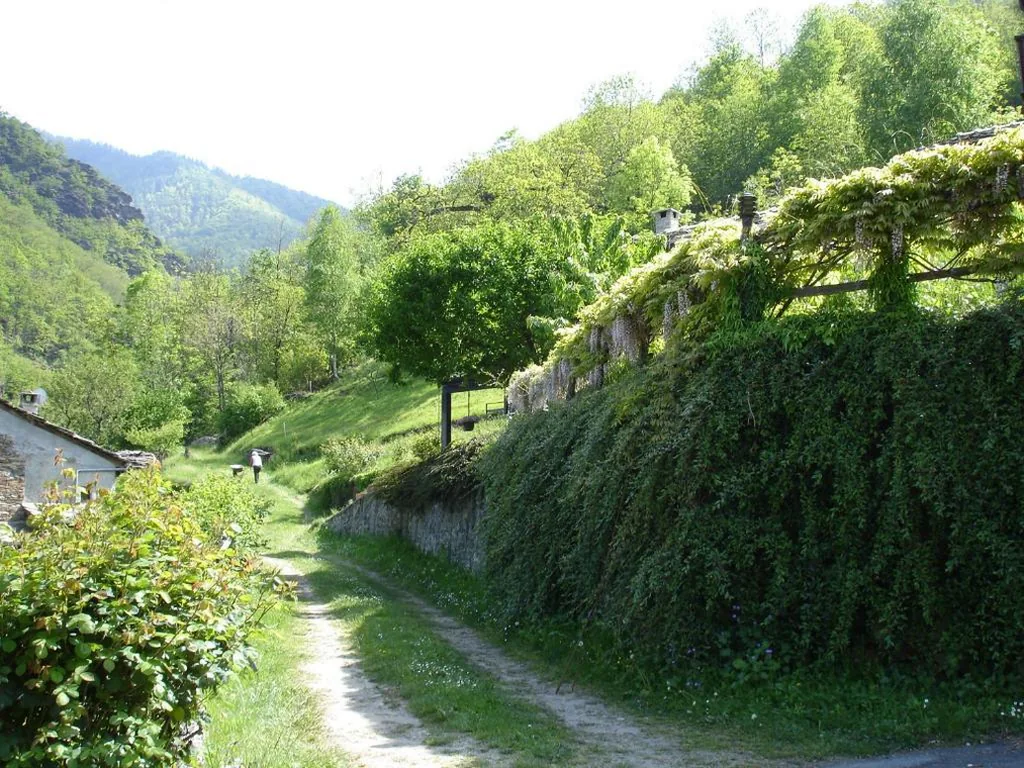 Joy Center – Casa e Appartamenti Vacanza in Val Pellice — foto 7