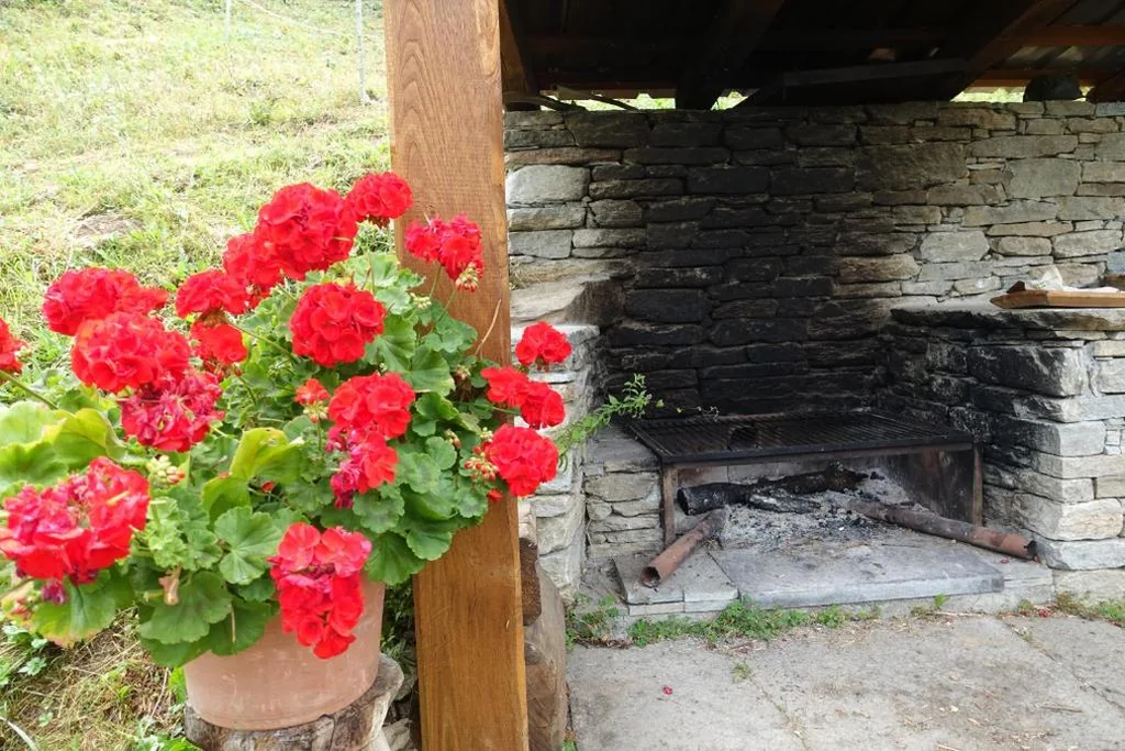 Joy Center – Casa e Appartamenti Vacanza in Val Pellice — foto 8