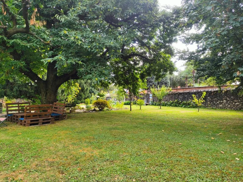 L’Oasi di Mario — foto 3