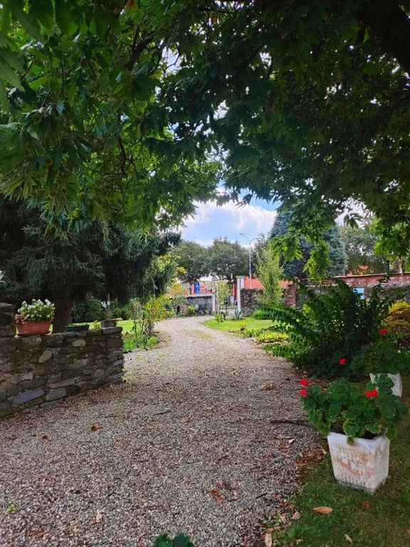 L’Oasi di Mario — foto 5