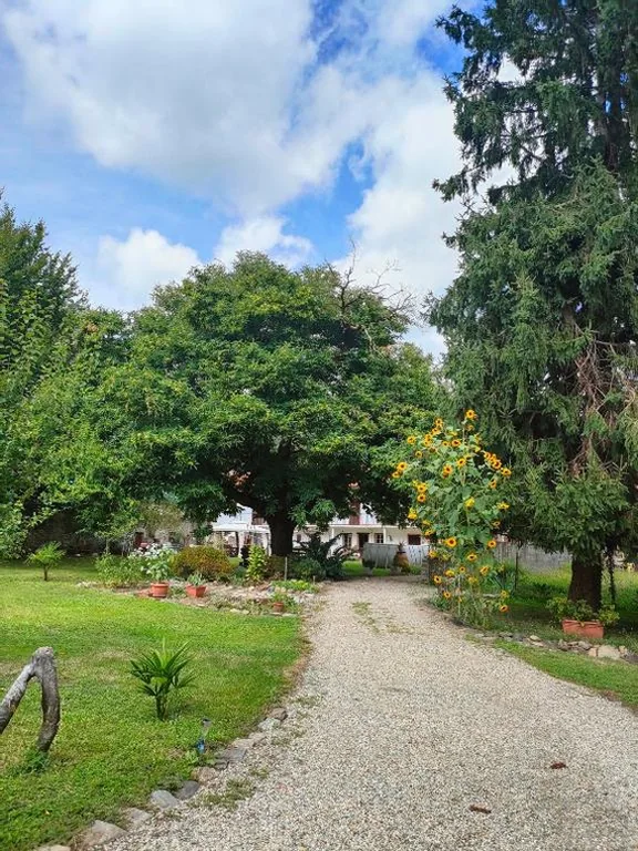 L’Oasi di Mario — foto 6