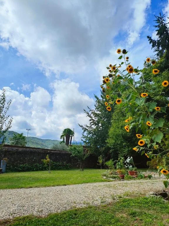 L’Oasi di Mario — foto 7