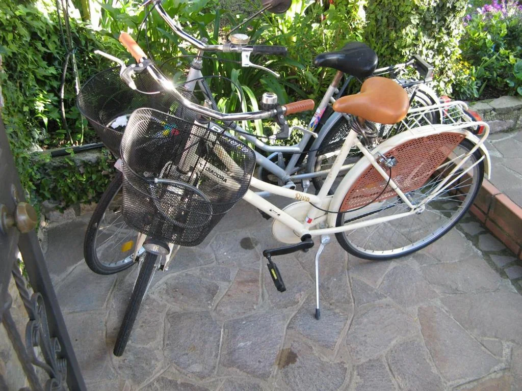 L’Olivo B&B — foto 5