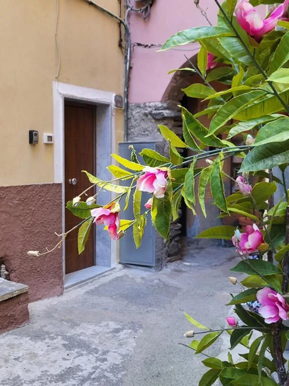 L’ Onda di Manarola — foto 7