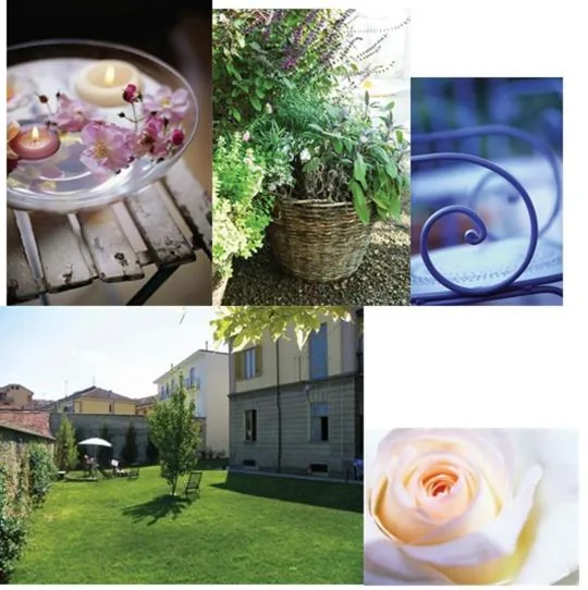 L’Ortodellerose