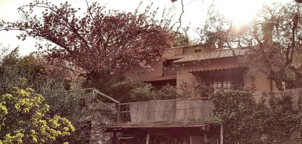 L’Uliveto D’Argento — foto 4
