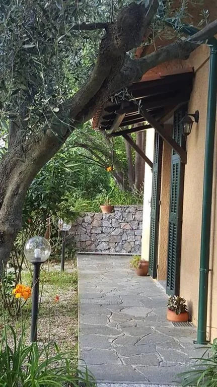L’Uliveto D’Argento — foto 7