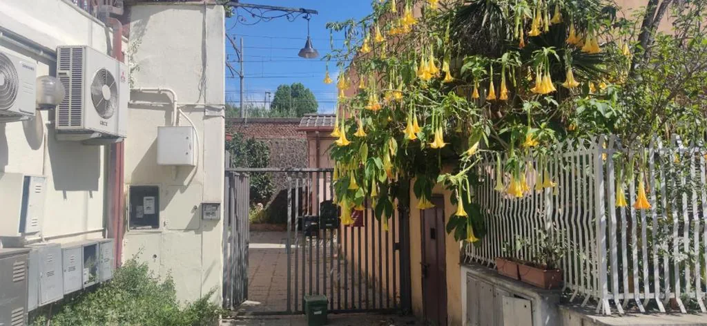 La Badia del Cavaliere 1 — foto 6