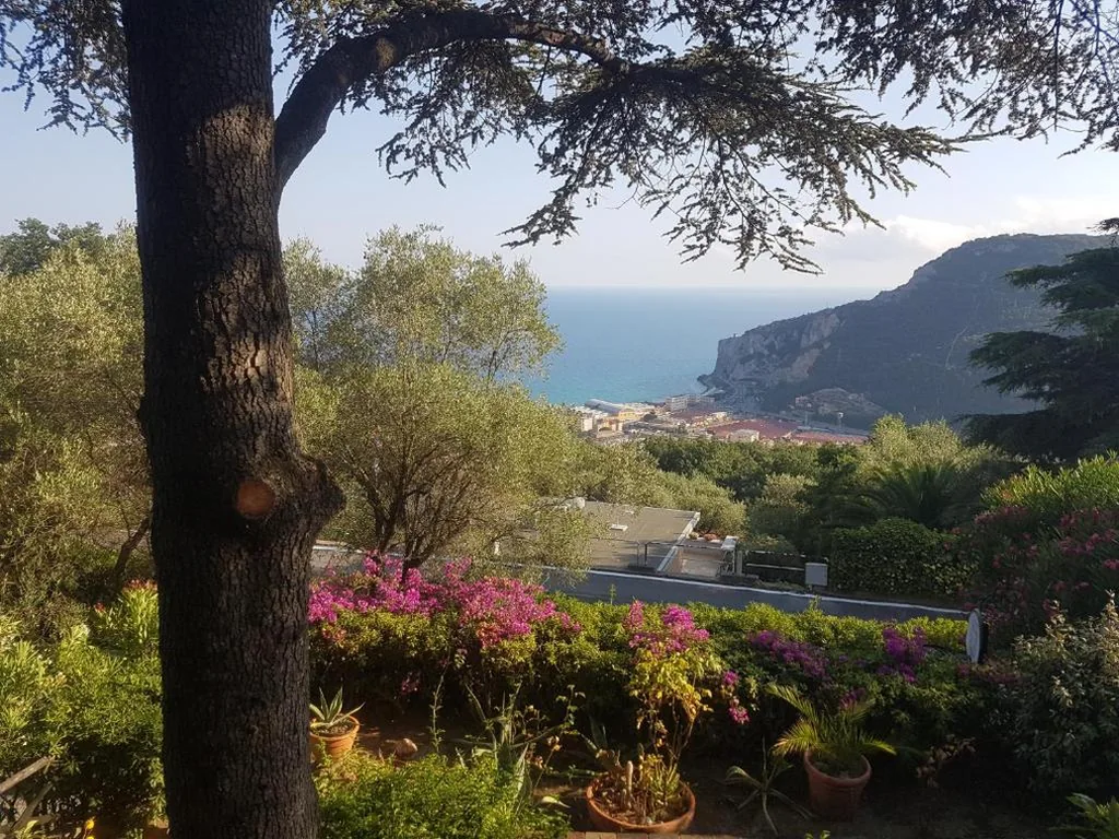 La Camera Tra Gli Ulivi Dream Finale — foto 8