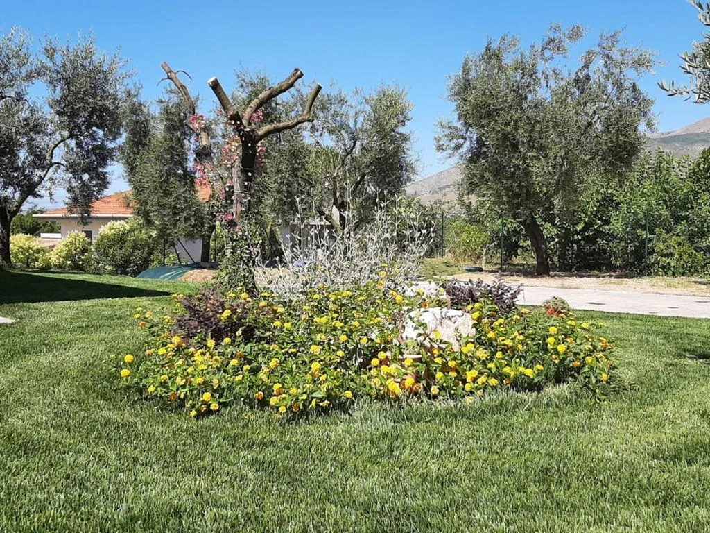 La Campagna di Peppe e Tullia — foto 7