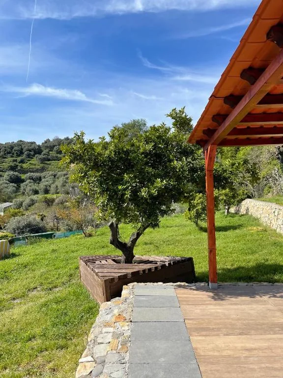 La casa dell’ulivo — foto 6