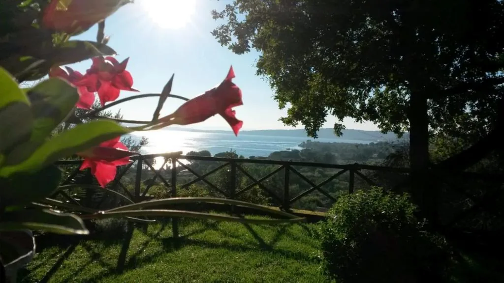 La Cerasa – vista Lago di Bracciano e giardino privato — foto 8