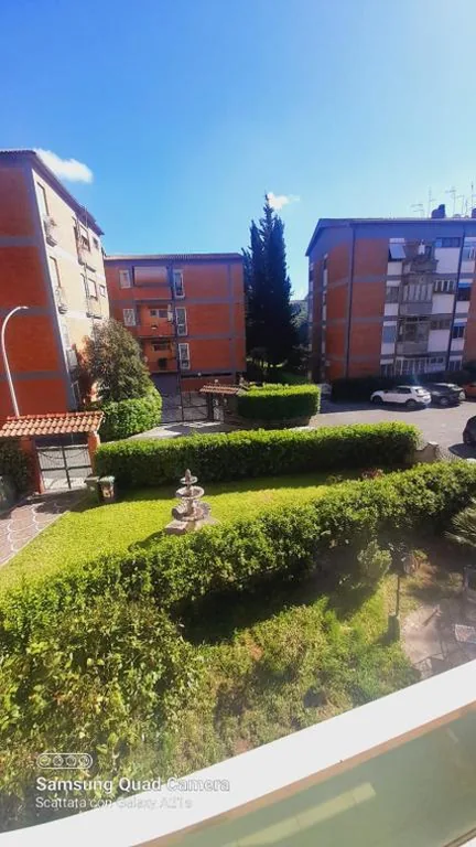 La dimora dei Cedri Argentati — foto 6