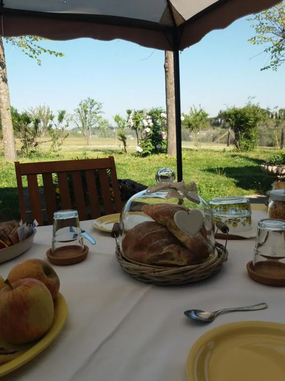 La Fattoria Barbini B&B — foto 4
