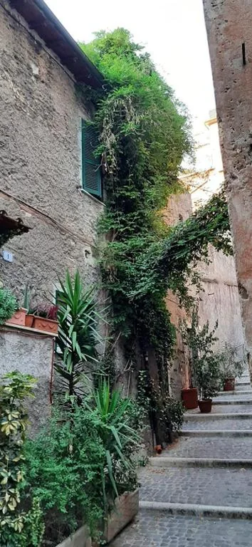 La Giada — foto 6