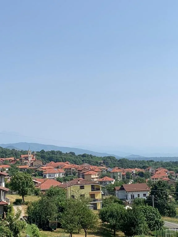 “La Pepita” di Pietro Bertolotti — foto 6